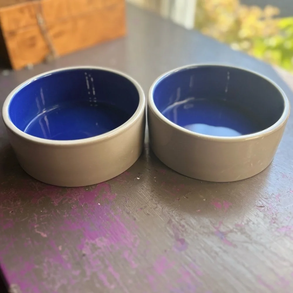 small pet bowls (5” diameter)